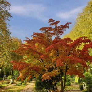 Herbst auf dem Friedhof...... Jürgen Herborn